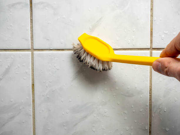 Best Mold Remediation  in Pickens, MS