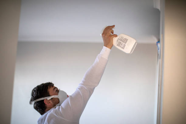 Best Toxic Mold Removal  in Pickens, MS