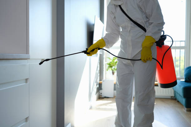 Best Professional Mold Removal  in Pickens, MS