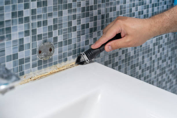 Best Mold Remediation Experts  in Pickens, MS